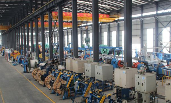 優良的產品線，以質量為本