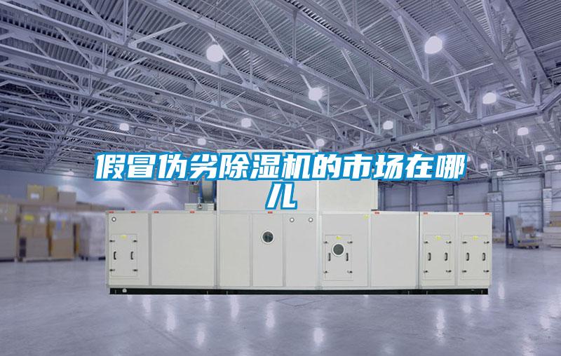 假冒偽劣除濕機的市場在哪兒
