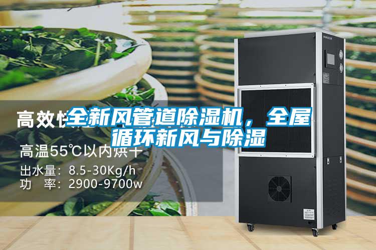 全新風管道除濕機，全屋循環(huán)新風與除濕