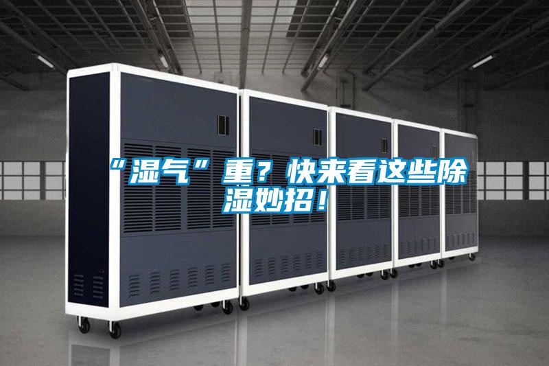 “濕氣”重?快來看這些除濕妙招!