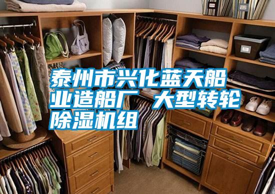 泰州市興化藍天船業造船廠 大型轉輪除濕機組