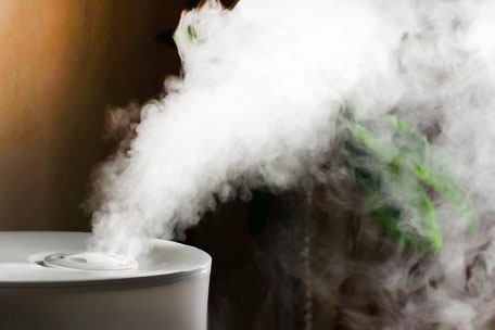 果蔬貯藏保鮮的基礎(chǔ)知識(shí)(二) 果蔬貯藏保鮮的基礎(chǔ)知識(shí)(二)