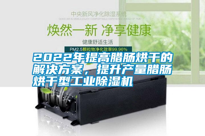 2022年提高臘腸烘干的解決方案,提升產(chǎn)量臘腸烘干型工業(yè)除濕機(jī)