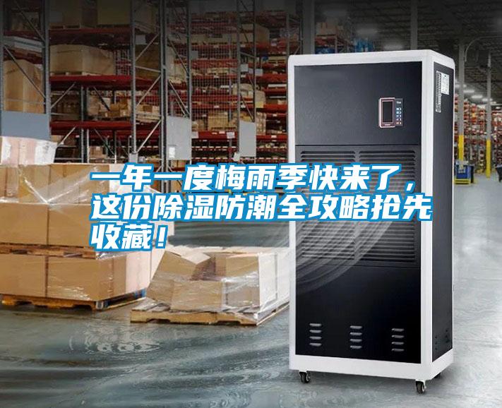 一年一度梅雨季快來了,這份除濕防潮全攻略搶先收藏!