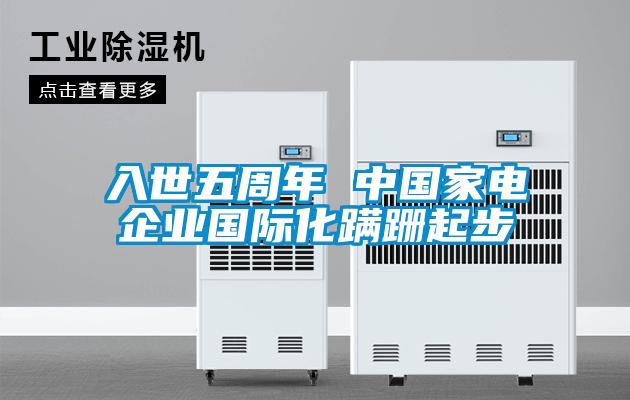入世五周年 中國家電企業(yè)國際化蹣跚起步