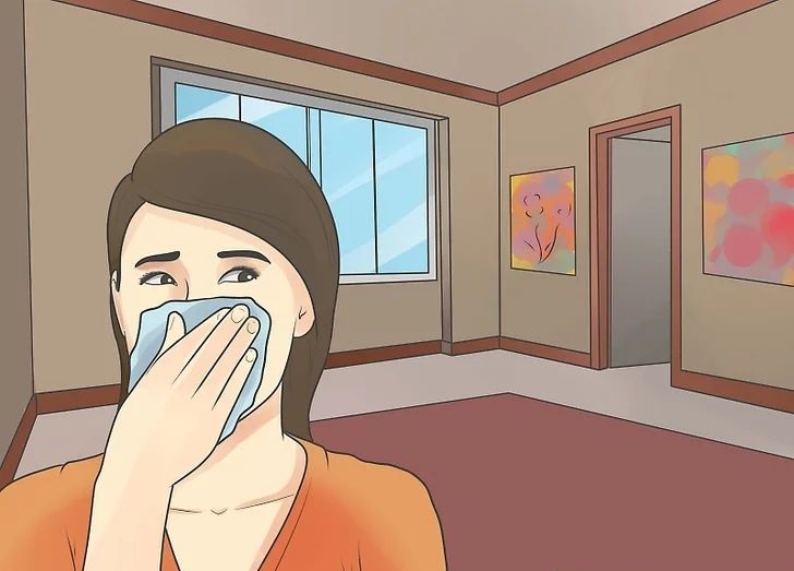 我們什么時候需要使用家用除濕機? 我們什么時候需要使用家用除濕機?