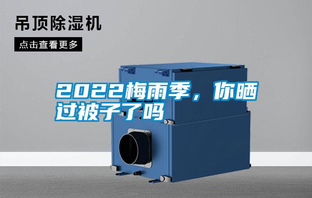 2022梅雨季,你曬過(guò)被子了嗎