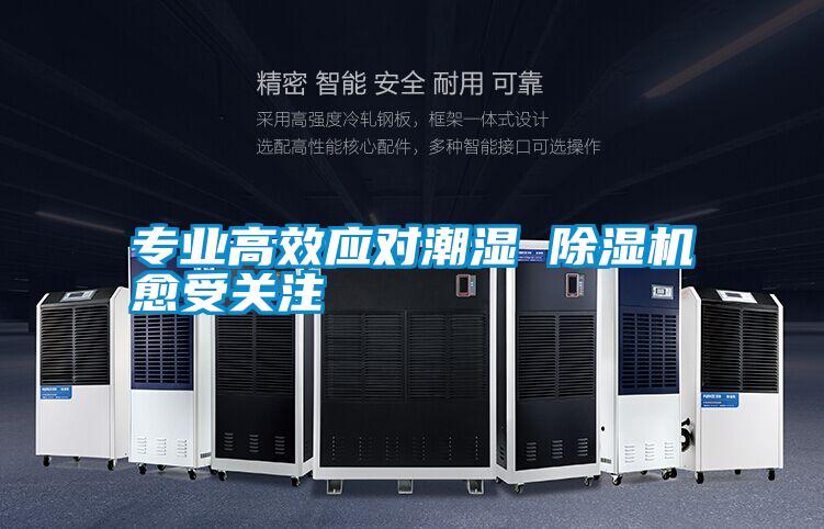 專業高效應對潮濕 除濕機愈受關注