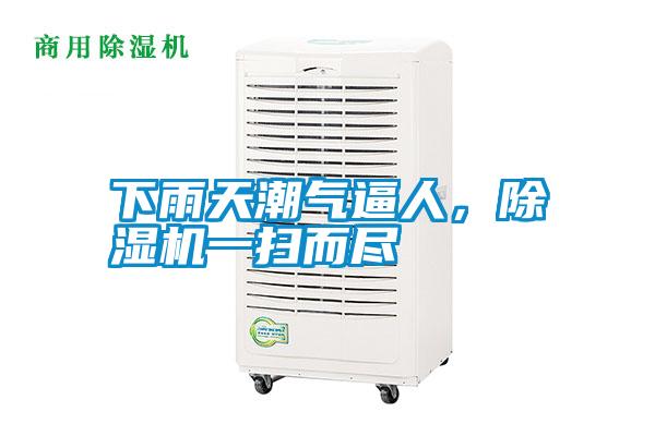 下雨天潮氣逼人,除濕機一掃而盡