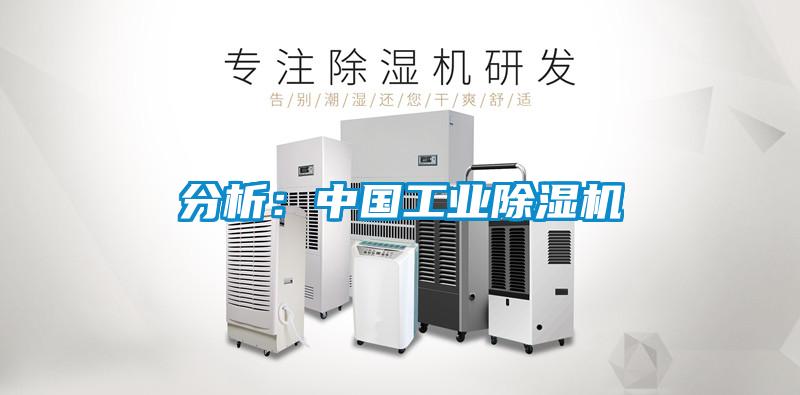 分析:中國工業除濕機