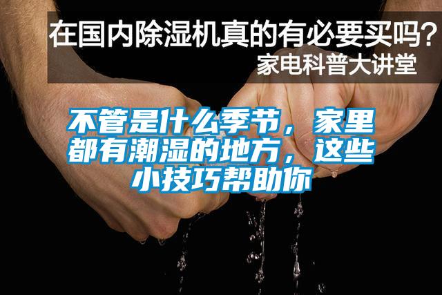 不管是什么季節，家里都有潮濕的地方，這些小技巧幫助你