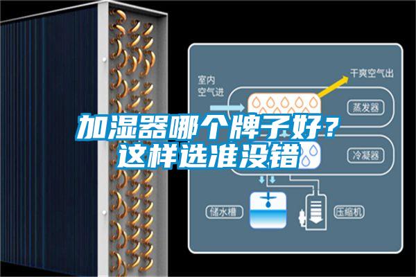 加濕器哪個牌子好?這樣選準沒錯