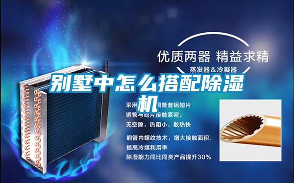 別墅中怎么搭配除濕機