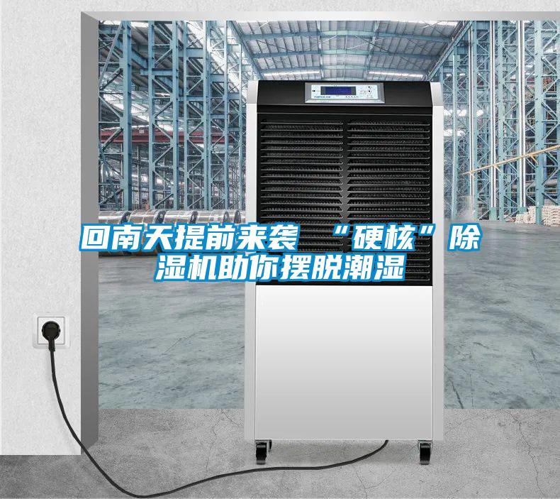 回南天提前來襲 “硬核”除濕機助你擺脫潮濕