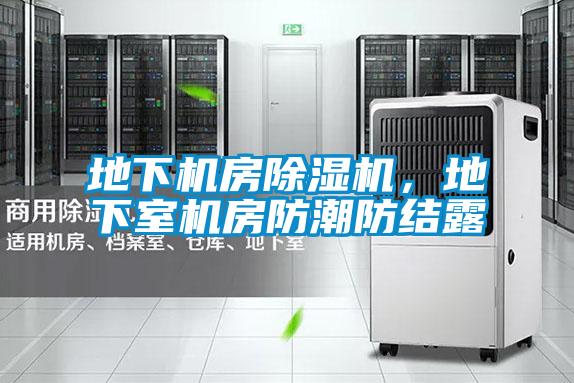 地下機(jī)房除濕機(jī)，地下室機(jī)房防潮防結(jié)露