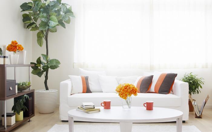 去除濕氣，別再熬過去