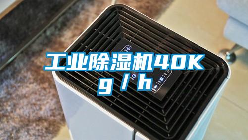 工業除濕機40Kg/h