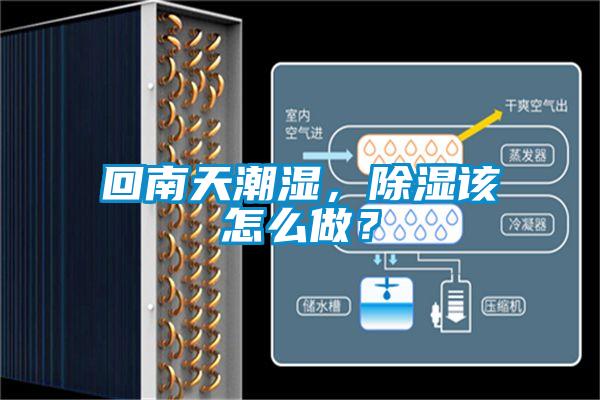 回南天潮濕,除濕該怎么做?