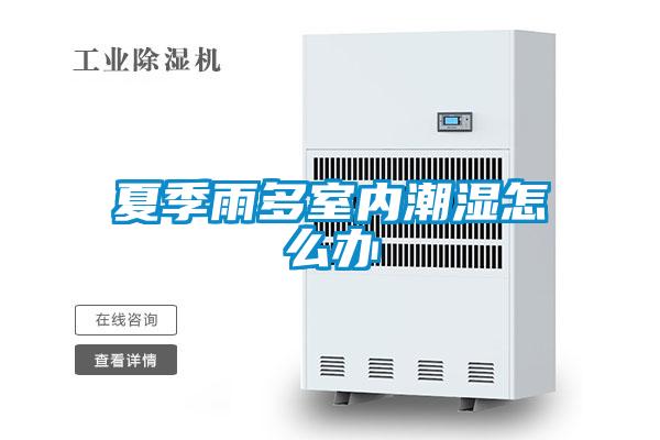 夏季雨多室內潮濕怎么辦