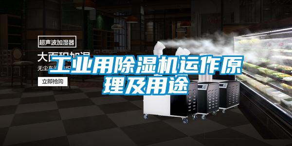 工業(yè)用除濕機(jī)運(yùn)作原理及用途