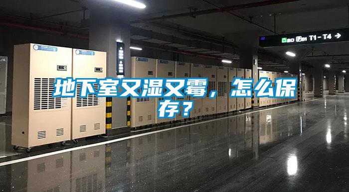 地下室又濕又霉，怎么保存？