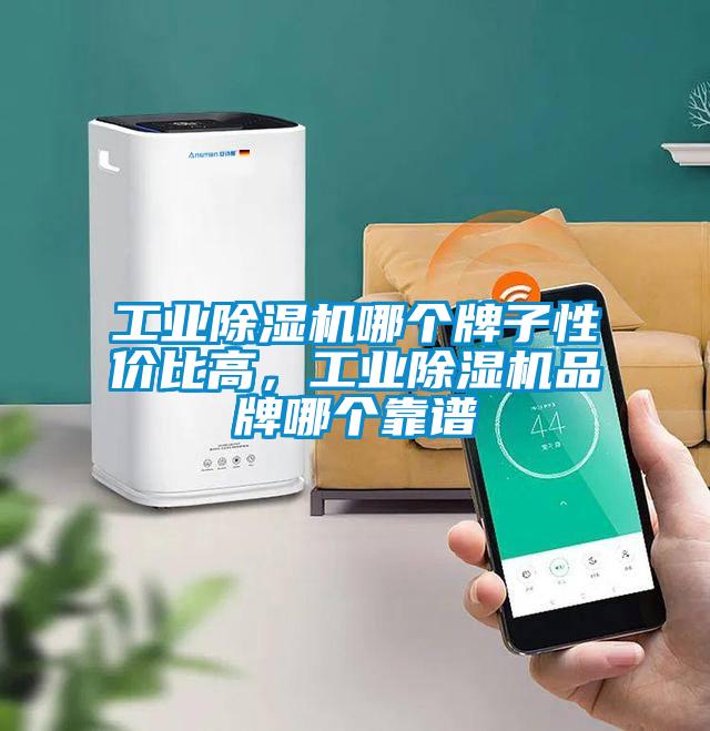 工業除濕機哪個牌子性價比高，工業除濕機品牌哪個靠譜