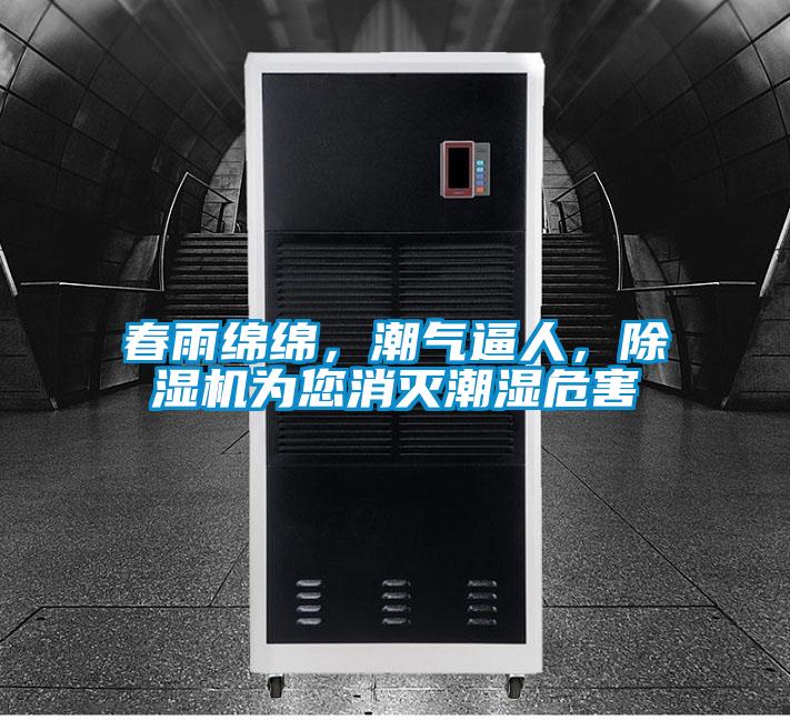 春雨綿綿,潮氣逼人,除濕機為您消滅潮濕危害