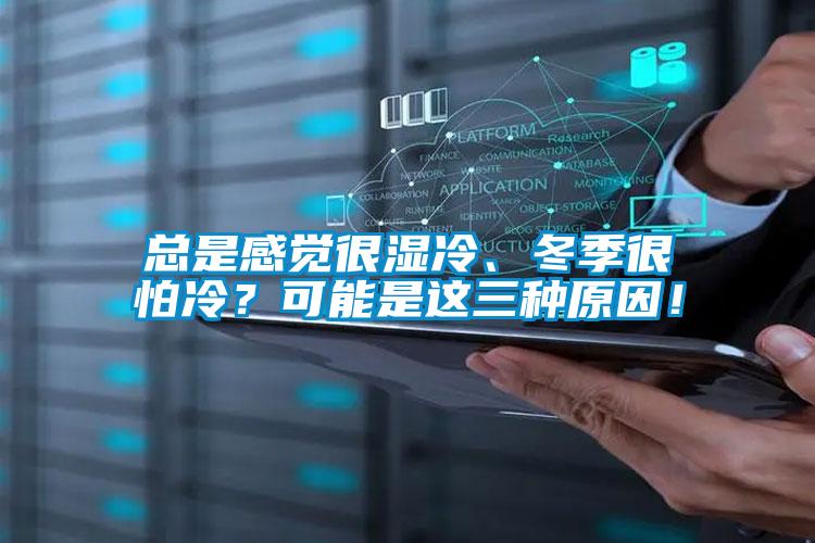 總是感覺很濕冷、冬季很怕冷?可能是這三種原因!