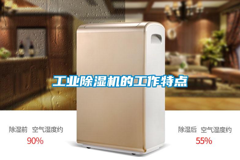 工業(yè)除濕機(jī)的工作特點