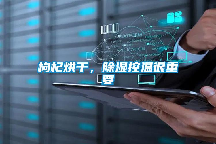 枸杞烘干,除濕控溫很重要