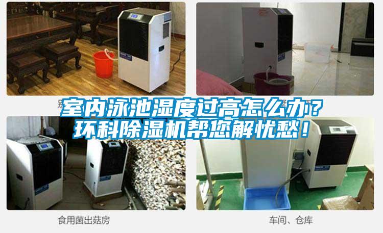 室內泳池濕度過高怎么辦？環科除濕機幫您解憂愁！