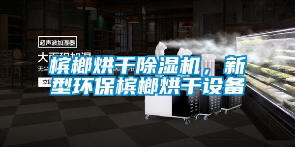 檳榔烘干除濕機,新型環保檳榔烘干設備