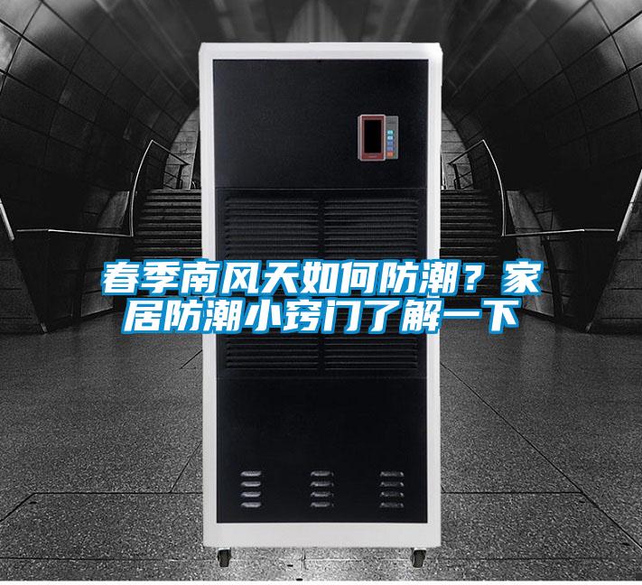 春季南風天如何防潮?家居防潮小竅門了解一下