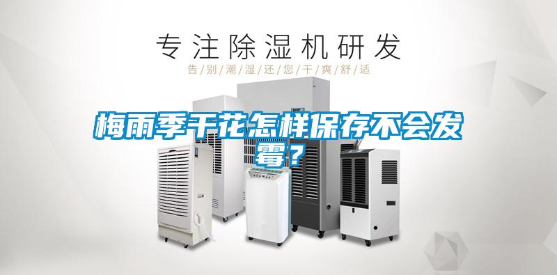 梅雨季干花怎樣保存不會發霉？