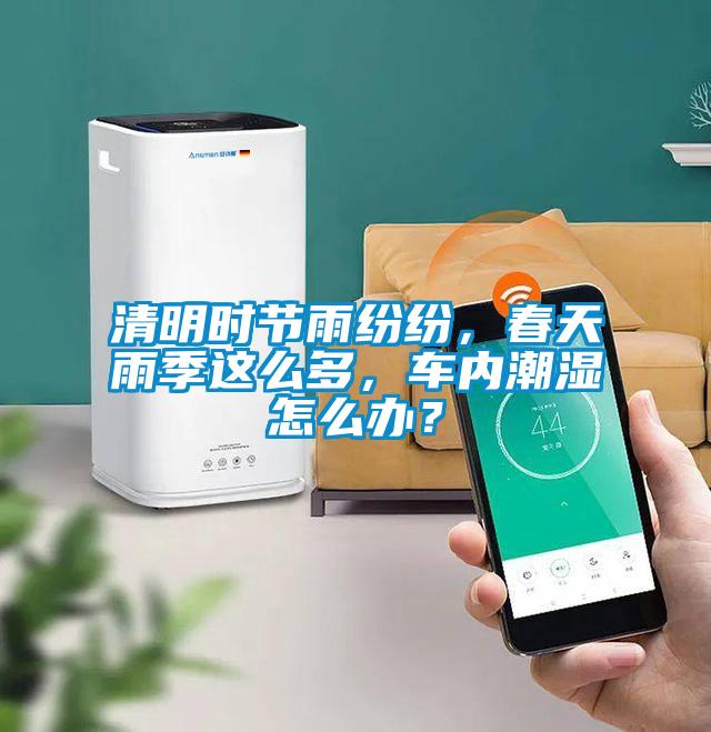 清明時節(jié)雨紛紛,春天雨季這么多,車內(nèi)潮濕怎么辦?
