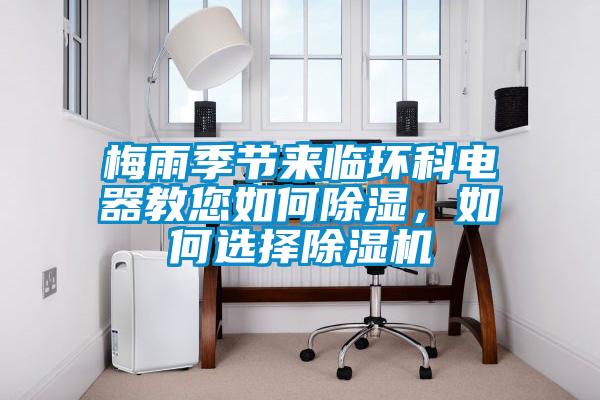 梅雨季節來臨環科電器教您如何除濕,如何選擇除濕機