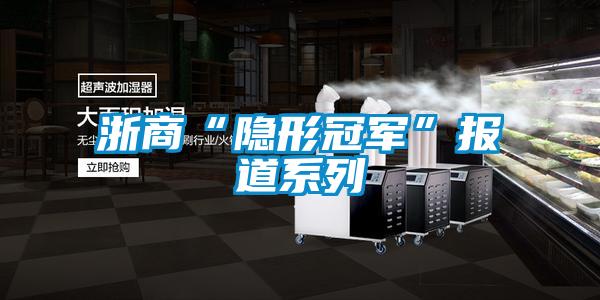 浙商“隱形冠軍”報道系列