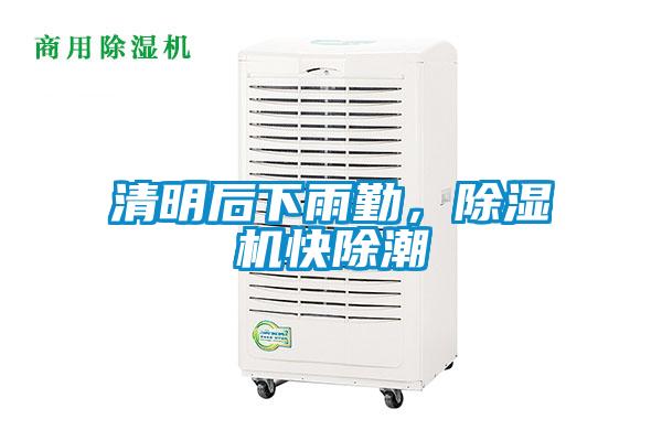 清明后下雨勤,除濕機快除潮