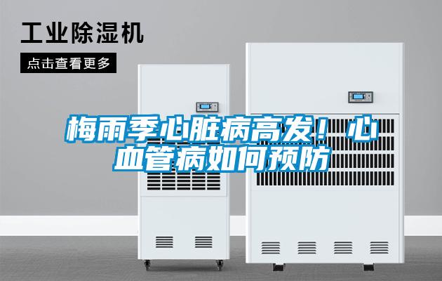 梅雨季心臟病高發！心血管病如何預防