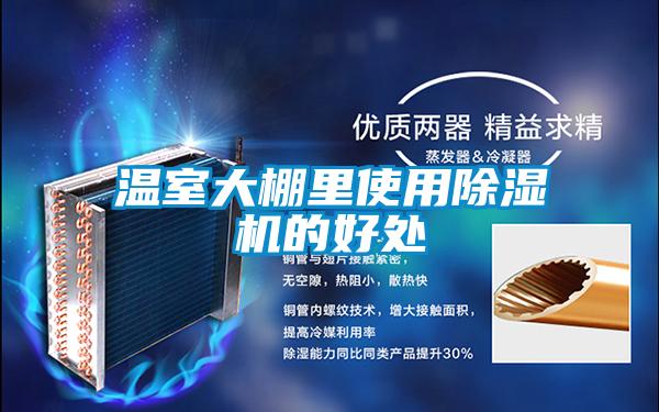 溫室大棚里使用除濕機的好處