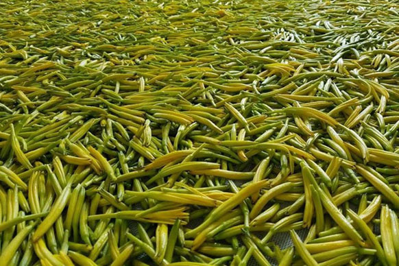 無硫金針菜烘干如何保持品相?不發(fā)黑? 無硫金針菜烘干如何保持品相?不發(fā)黑?