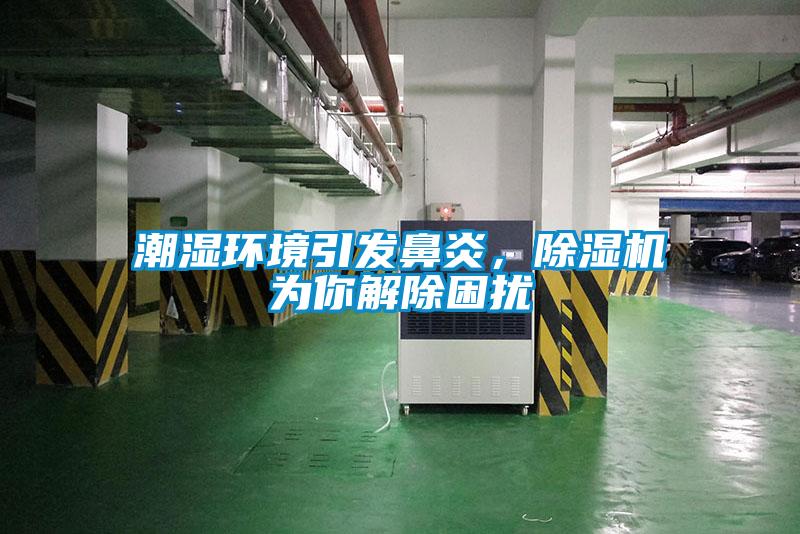 潮濕環境引發鼻炎，除濕機為你解除困擾