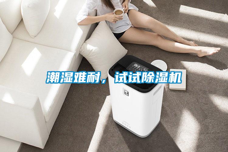 潮濕難耐，試試除濕機