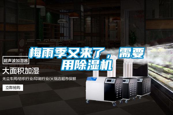 梅雨季又來了,需要用除濕機