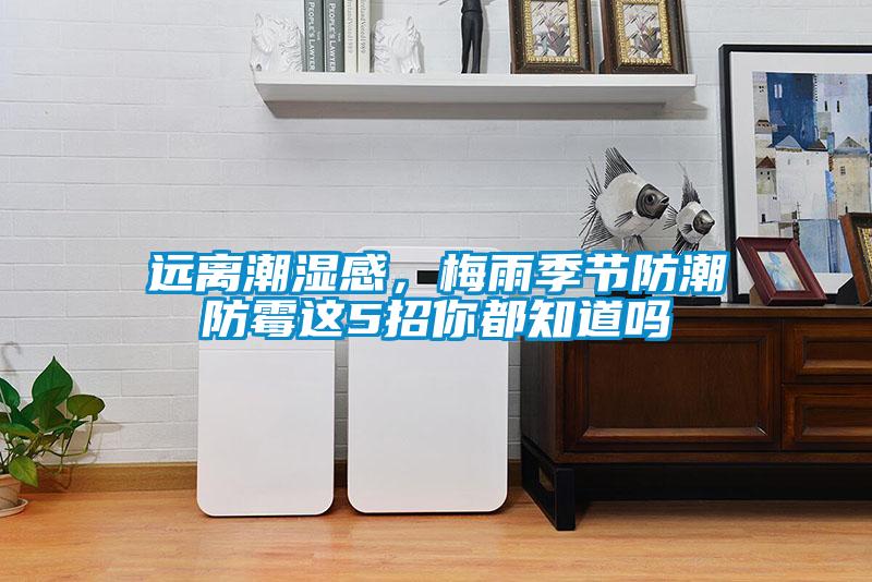 遠(yuǎn)離潮濕感，梅雨季節(jié)防潮防霉這5招你都知道嗎