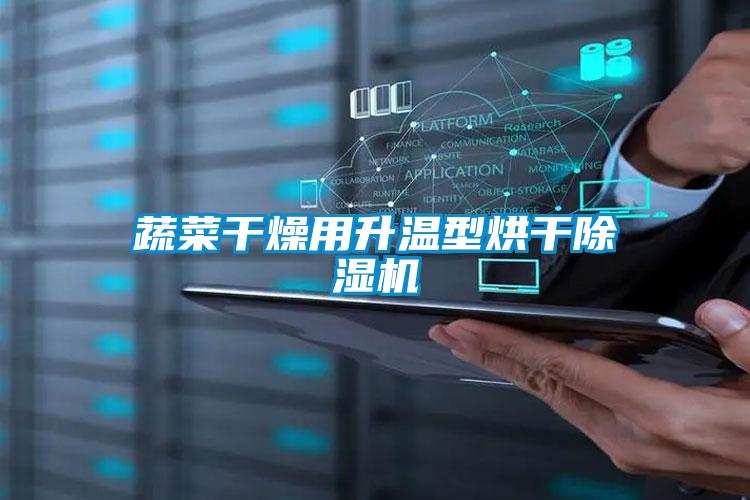 蔬菜干燥用升溫型烘干除濕機