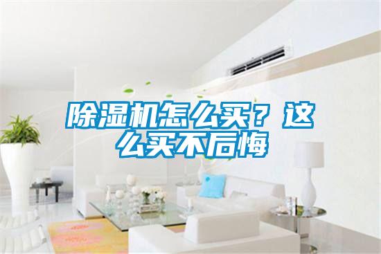 除濕機(jī)怎么買?這么買不后悔