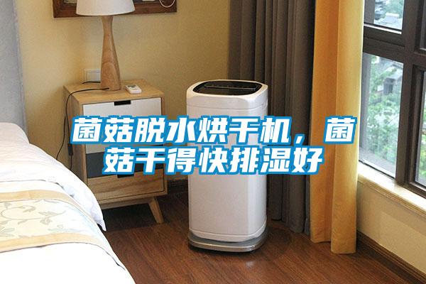 菌菇脫水烘干機,菌菇干得快排濕好