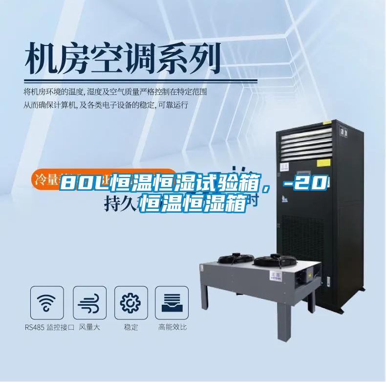 80L恒溫恒濕試驗箱，-20℃恒溫恒濕箱