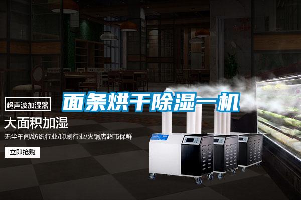 面條烘干除濕一機